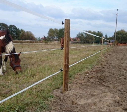 Elektrický pastiersky páskový izolátor pre kone, diviaka, 25 ks