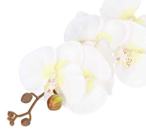 ORCHIDEA ORCHIDEA Vetvička LIVING QUALITY 90cm