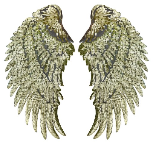 Termo nášivka Flitre Gold Wings VEĽKÁ 34cm
