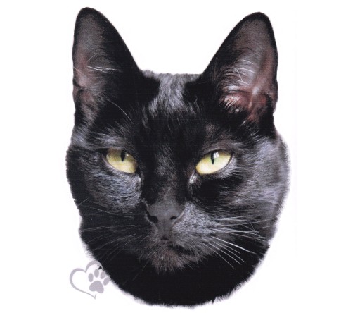Nálepka Nálepka Cat Kitten Tomcat Black UV