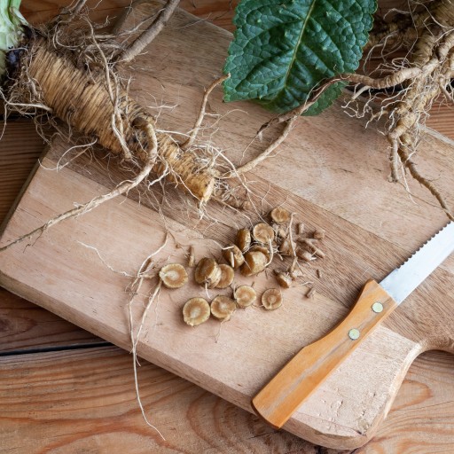 TEASLE ROOT POLISH TEASEL 100% bolerióza
