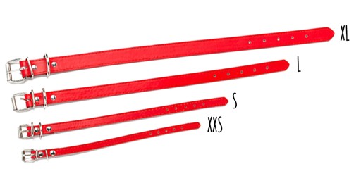 EKOKOŽENÝ GOLIER Gravírovanie čísla Žiak XL 37~47cm
