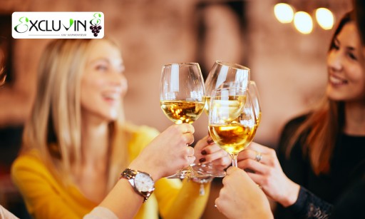EXCLUVIN Sommelier čašnícka vývrtka, 3-funkčná, biela