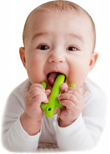 GiliGums DUMEL TEETHER ZUBNÁ KEFKA CACTUS