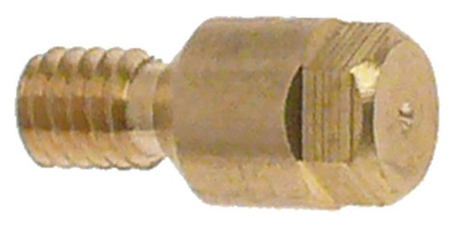 Zapaľovacia plynová tryska M4x0,75 WS5 NR21 LPG