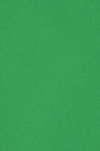 Farebný papier Bristol 250g zelený - 10SRA3