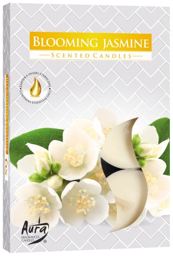 Bispol HEATERS p15 vôňa BLOOMING JASMINE 4h