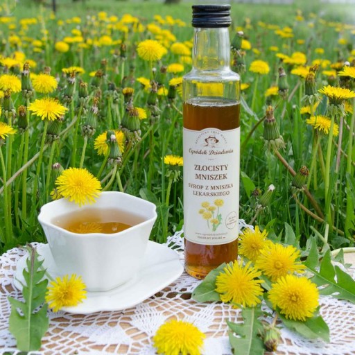 Púpavový SIRUP PRÍRODNÝ 100% ZDRAVÝ