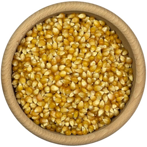 POPCORN 1kg Zrno na praženie bez soli