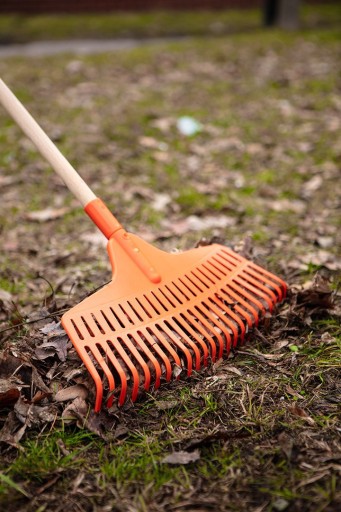 NEO HRABĽA NA LÍSTIE, STREDNÁ 460mmX240MM PLASTOVÁ TANIEČKA POZOR 95-043
