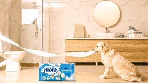 Mola toaletný papier neparfumovaný 8 ks.