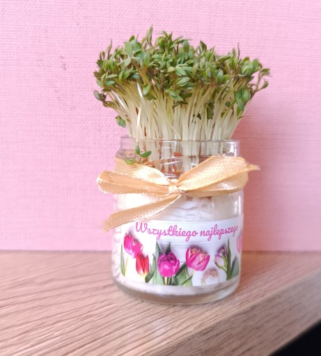 CRESS V MINI Tvárničke S VEĽKONOČNOU DEKORACIou Rastú, aby rástli