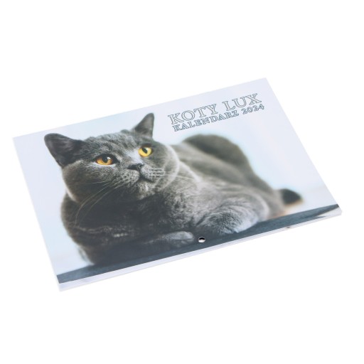 Nástenný kalendár CATS LUX na rok 2024 do vašej HOME OFFICE