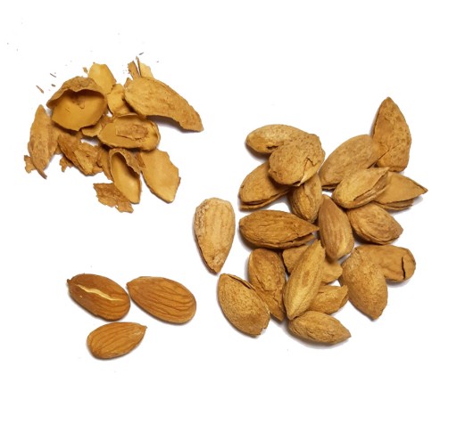 Pražené solené mandle v šupke 300g