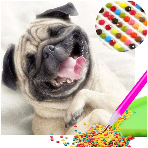 Diamantové vyšívanie DOG Diamantový obraz MOZAIKA 5D