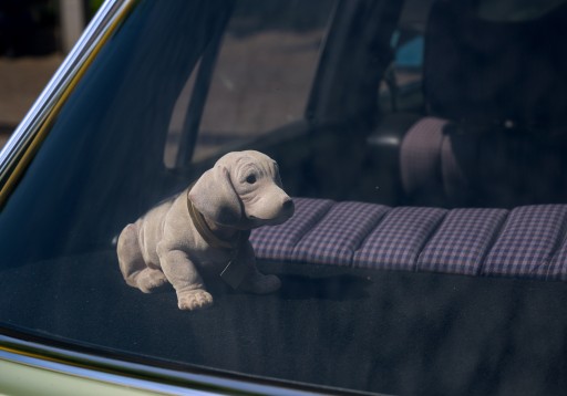 DOG POHYBOVÁ HLAVA PES DO AUTA MEDVEĎ E405 EMAJ