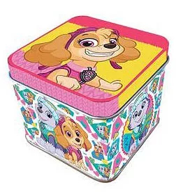 PAW PATROL PRECHODOVÝ KONTAJNER BOX SKYE BOX