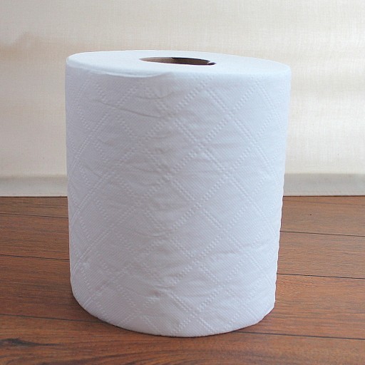 ČISTENIE BIELEHO PAPIEROVÉHO UTERÁKA CELULÓZOVÁ KVALITA