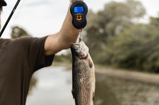 Háčiková váha, rybárska, batožinová a turistická váha do 50kg