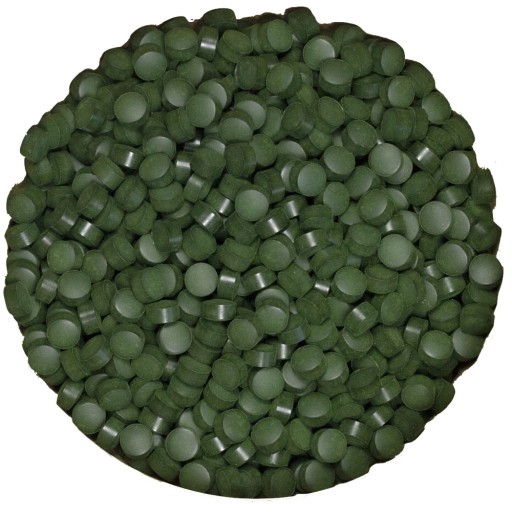 Spirulina Algae Tablets 1000 kusov Body Cleansing 250g TARGROCH