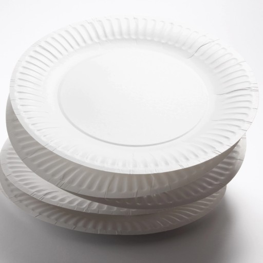 Papierový tanier 20cm biely ECO - 100 kusov
