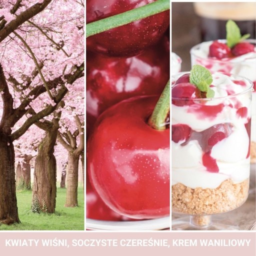 Yankee Candle mini RUŽOVÁ ČEREŠŇA & VANILKA