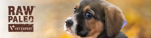 Mokré krmivo pre šteňatá malých plemien s hovädzím mäsom Raw Paleo Mini Puppy 150g