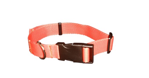 Obojok pre psa S-XL NASTAVITEĽNÝ 25mm