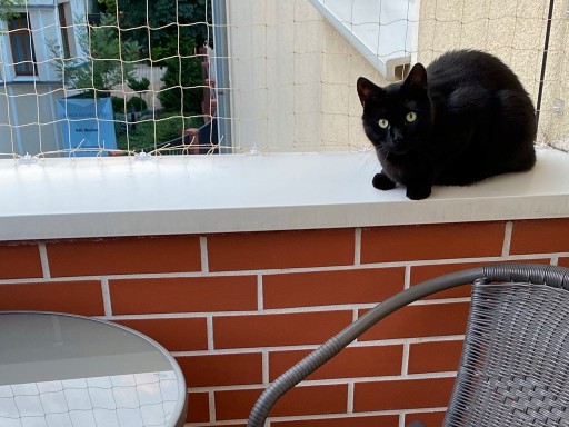 AVIK LEPIDLO NA HÁKOVANIE, SIEŤ NA BALKÓNY, MAČKU, VTÁKY