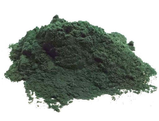 SPIRULINA 100 g