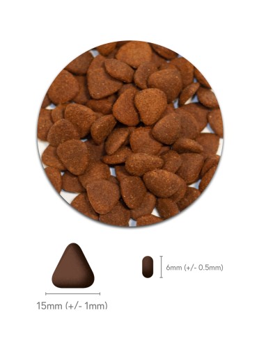 GuardLife anglická kačica so zeleninou 500g