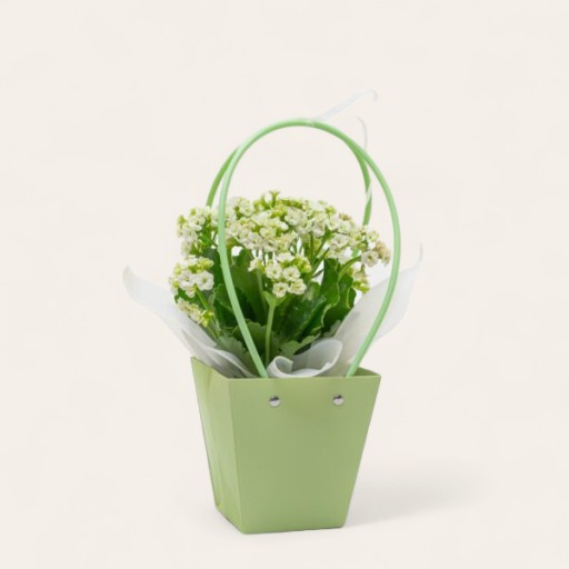 Flower Box Flower Bag Svadobné prijímanie ku dňu matiek ZELENÁ 3249