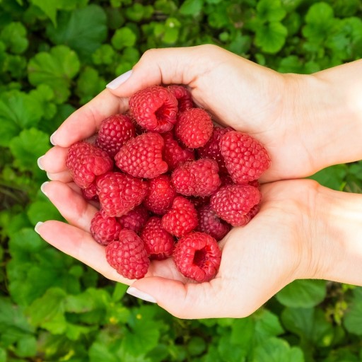 Vôňa na sviečky, vosk, vonný olej 10ml RASPBERRY