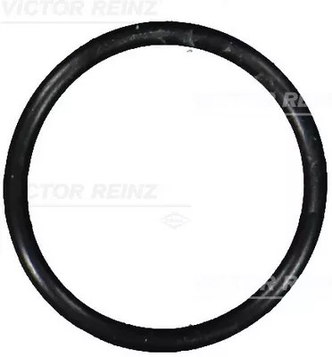 40-76101-00/RNZ ORING TESNENIE DB
