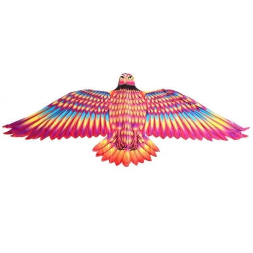 KITE