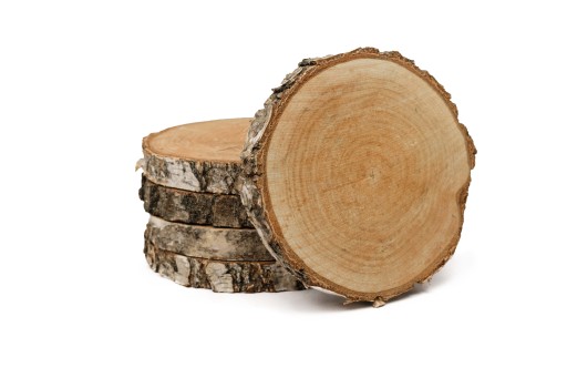 Drevený plátok s priemerom 15-20 cm, hrúbka 2 cm - 1 ks