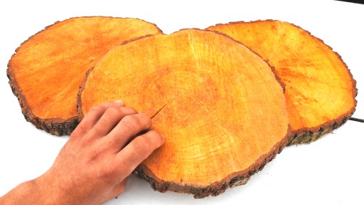 PLÁSOK DREVA PEČIATKY JLŠA 25-30CM, 1KS