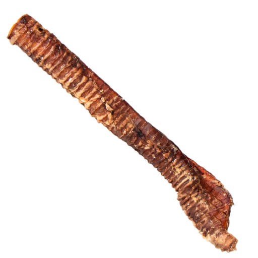 CHRUVKA PRE VEĽKÝCH PSOV PRÍRODNÁ HOVÄDZIA TRACHEA, VEĽKOSŤ XL