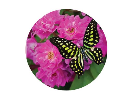 BOTTERFLY FLOWER JAR OBRÁZOK DIAMANTY GRAFIX