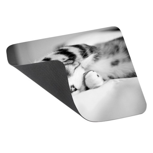 Podložka pod myš s mačkou, CATS