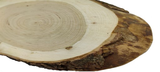 PLÁSOK KONSKÉHO DREVA, ELIPTICKÝ, ŠIKMÝ, 30-35 CM, DEKORATÍVNY PODNÁK, DREVO