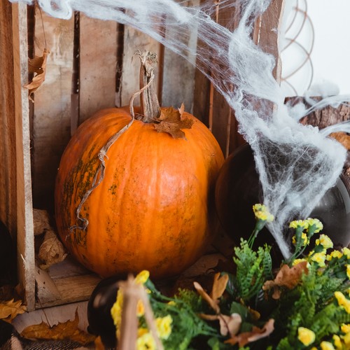 UMELÝ PAVÚČIK + 2 HALLOWEENSKÉ PAVÚKY