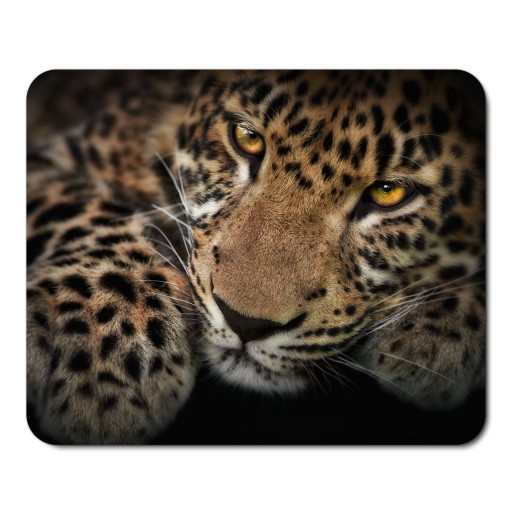 Podložka pod myš WILD ANIMALS JAGUAR