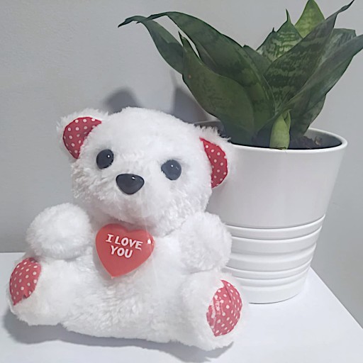 MASKOT MASKOTA MEDVEĎOVKA, DARČEK PRE NEJ, SO SRDCOM