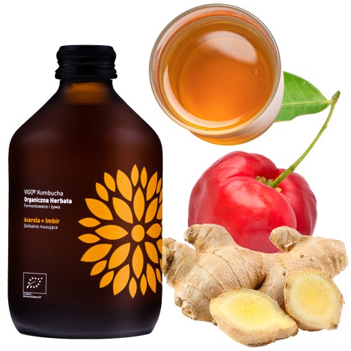 VIGO KOMBUCHA ACEROLA ZÁZVOR 330ml ČAJ NÁPOJ