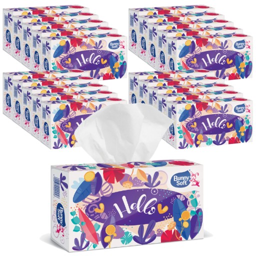 HYGIENICKÉ Utierky 2W KOZMETICKÁ KRABIČKA 100 ks.