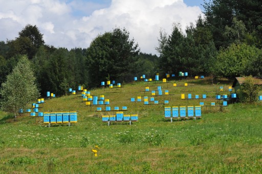 Viackvetový med 50g Łysoń včelín