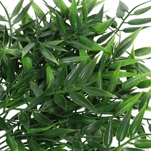 RUSCUS BOUQUET HRUBÉ KONÁRE ZELENÝ PRÍDAJ DO KYTICOVÝCH KRÉMOV