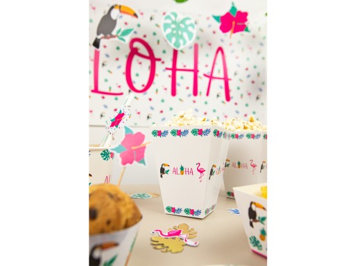 Aloha Party Hawaii 6s Popcorn boxy