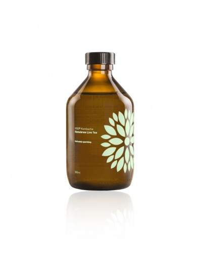 VIGO Kombucha uhorka + koriander (315ml) - BIO